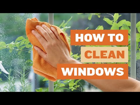 Recycled Window Cleaning Kit