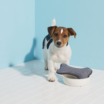 Pet Bowl Scrubber